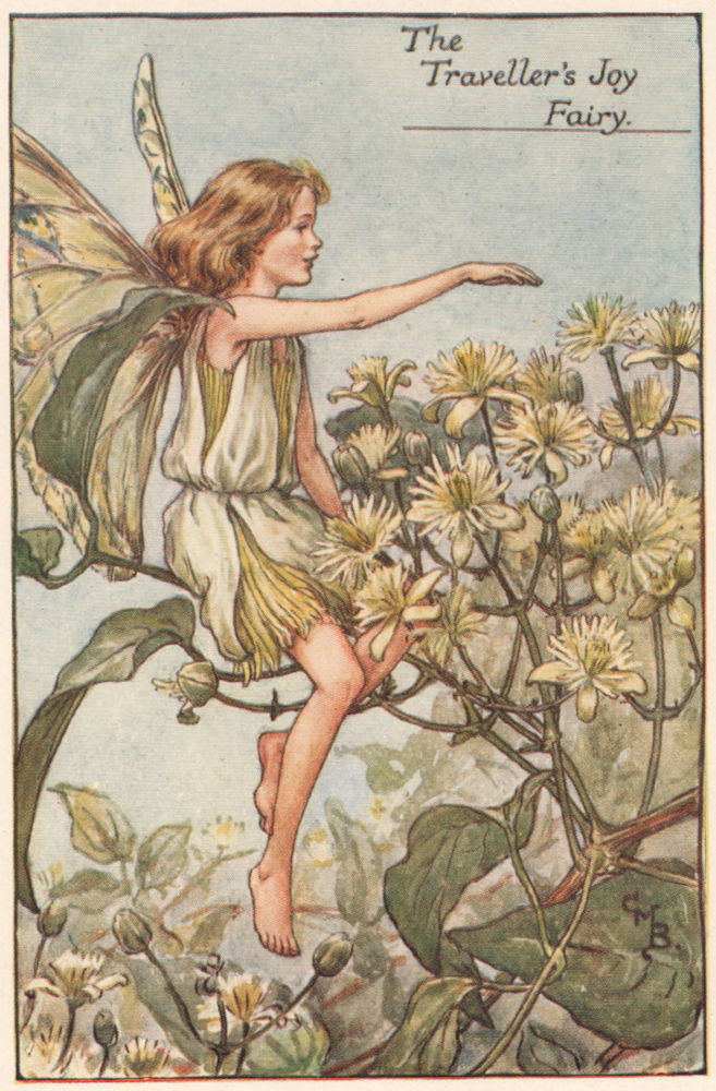Traveller's Joy Fairy by Cicely Mary Barker. Summer Flower Fairies c1935 print
